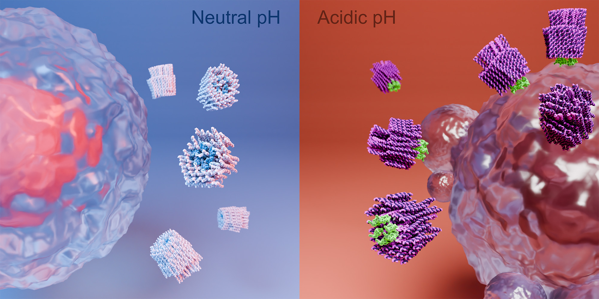 nanorobots designed by the karolinska institutet in sweden