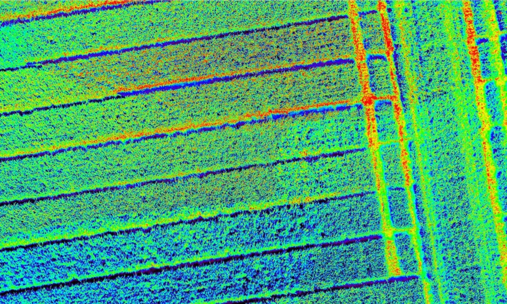 saudi arabia's vegetation monitoring receives an ai upgrade