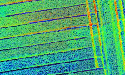 saudi arabia's vegetation monitoring receives an ai upgrade