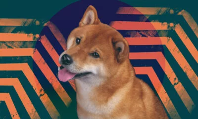 shib shiba inu coin everything you need to know